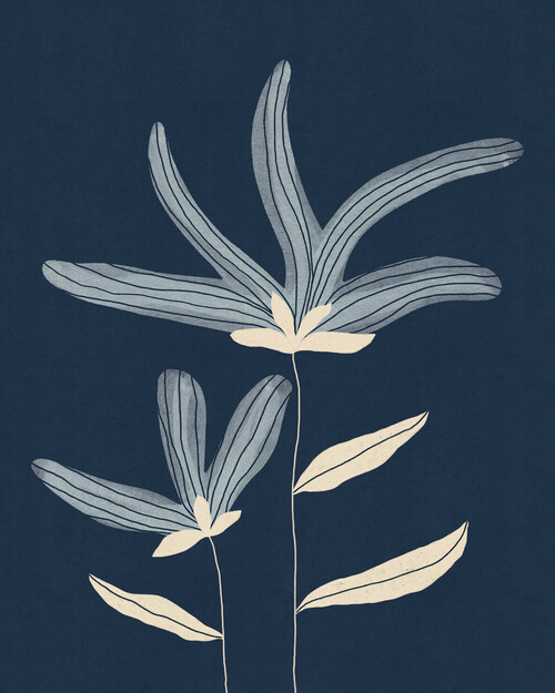 Canvas Two Flowers (40x50 cm) av Alisa Galitsyna