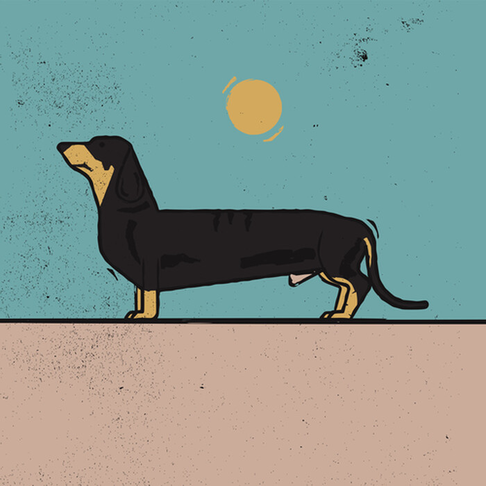 Tavla XL Dachshund