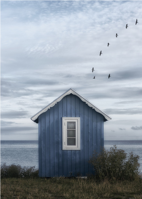 Poster Secluded Beach Hut (50x70 cm) av Lotte Grønkjær