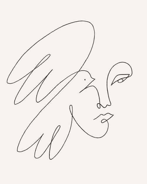 Poster Dove
