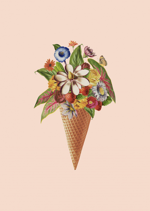 Canvas Botanical Pink Ice Cream