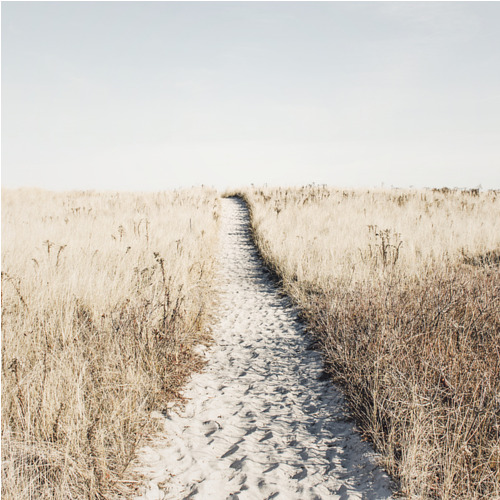Poster To the Beach (50x50 cm) av Kathrin Pienaar