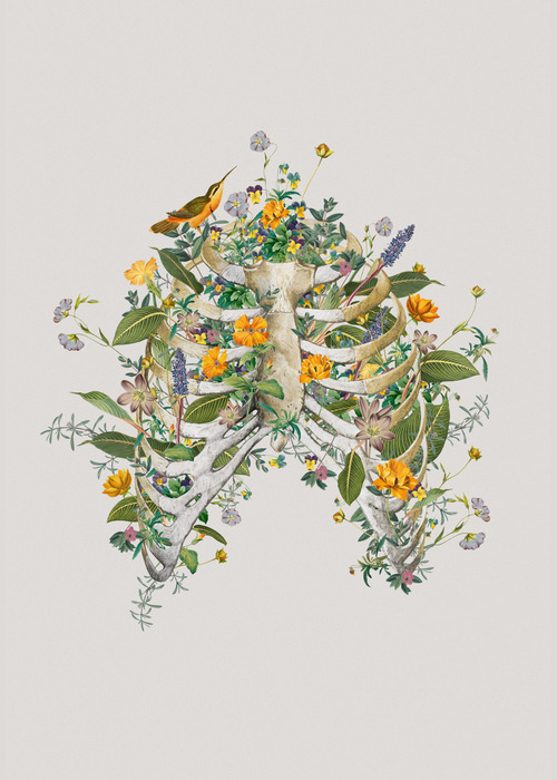Canvas Floral Thorax
