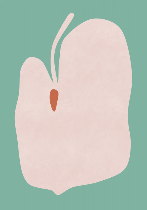 Canvas Pink Anthurium Bloom (70x100 cm)