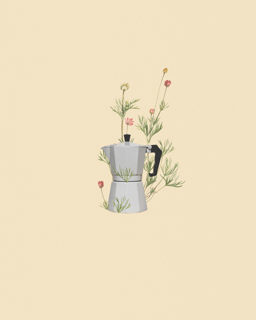 Poster Floral Moka Express