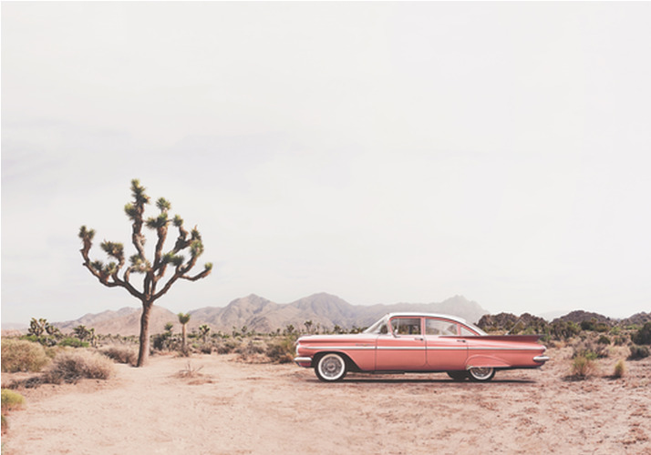 Canvas In the Desert (100x70 cm) av Kathrin Pienaar