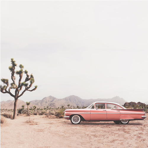 Canvas In the Desert (70x70 cm) av Kathrin Pienaar
